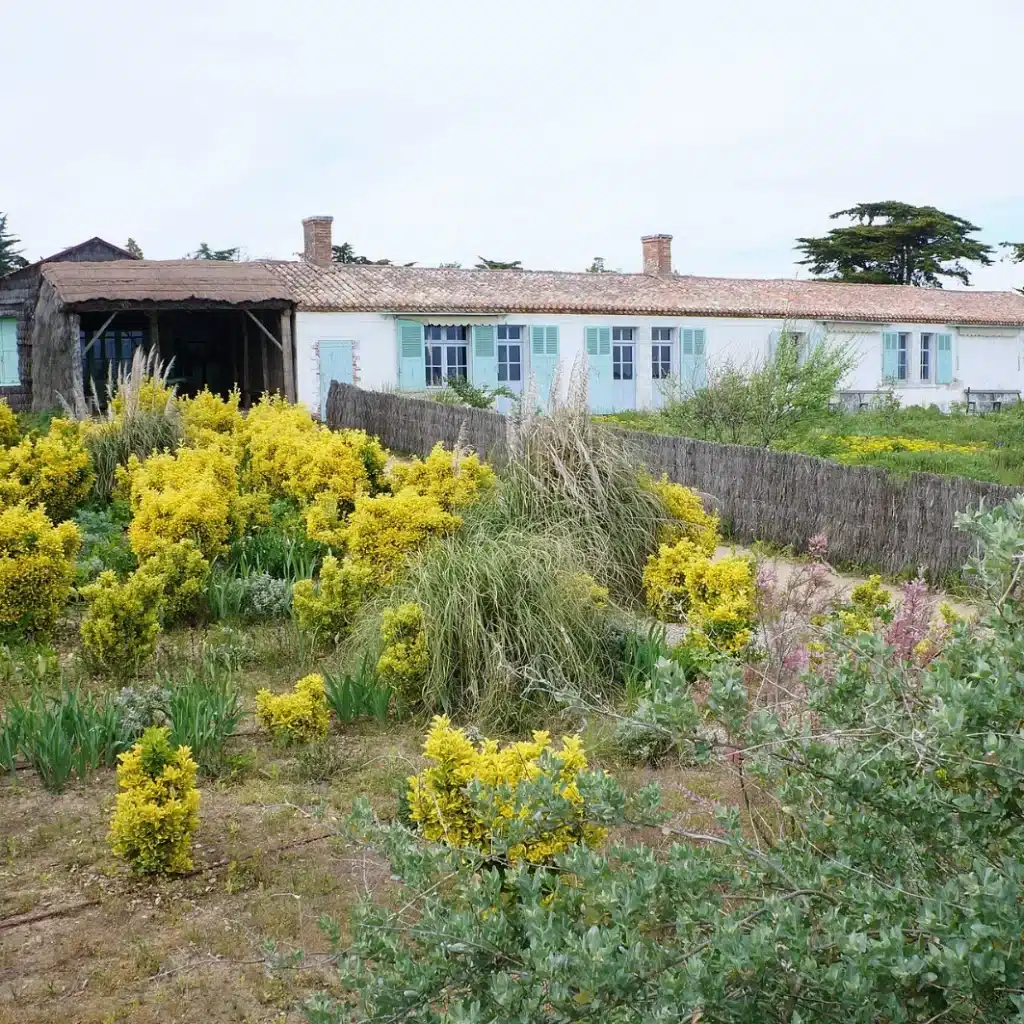 Façade d'une longère vendéenne traditionnelle en pierre blanche avec toit de tuiles